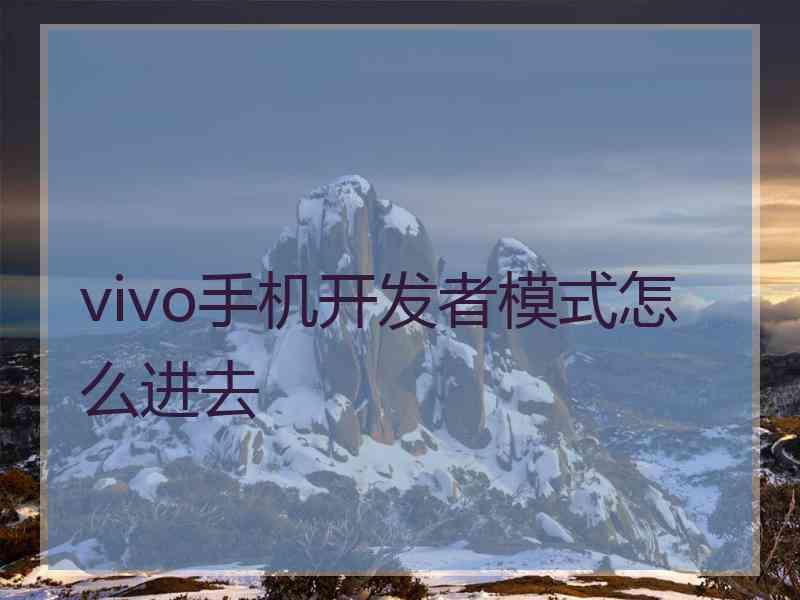 vivo手机开发者模式怎么进去