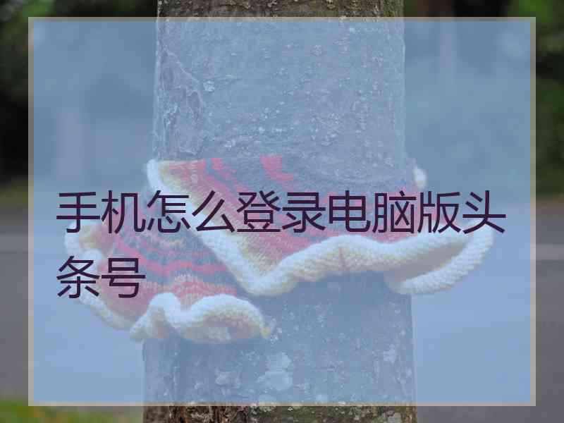 手机怎么登录电脑版头条号