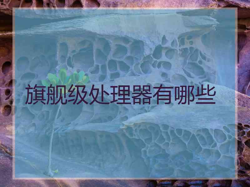 旗舰级处理器有哪些