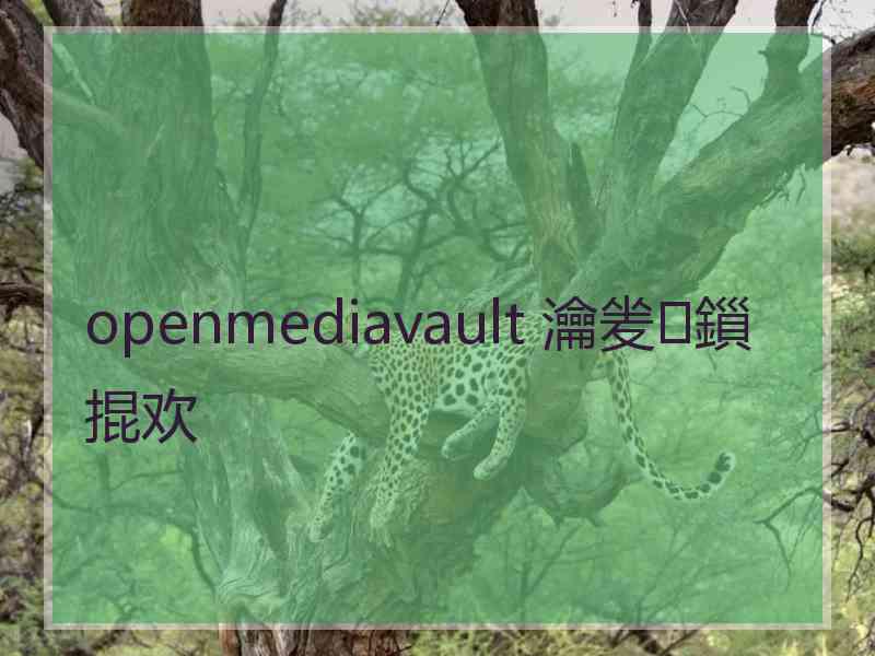 openmediavault 瀹夎鎻掍欢