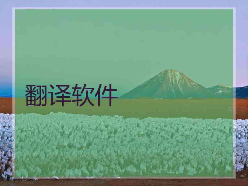翻译软件