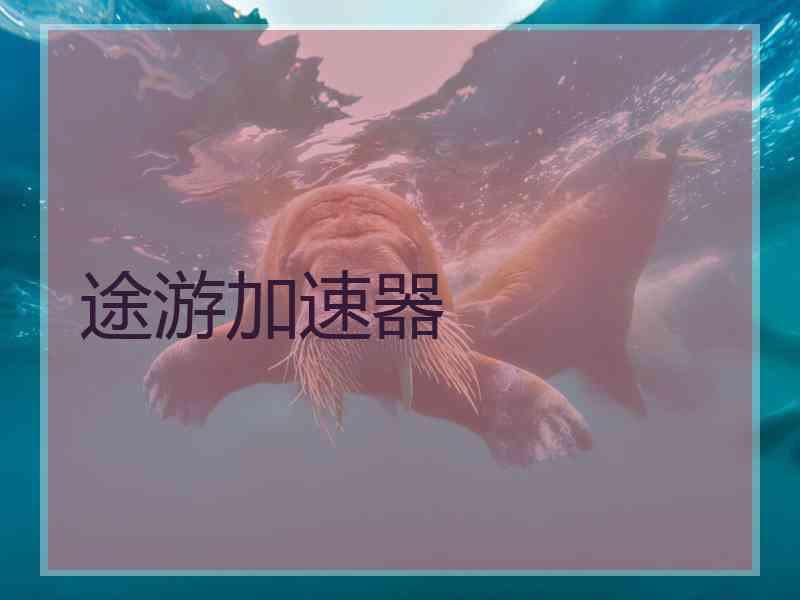 途游加速器