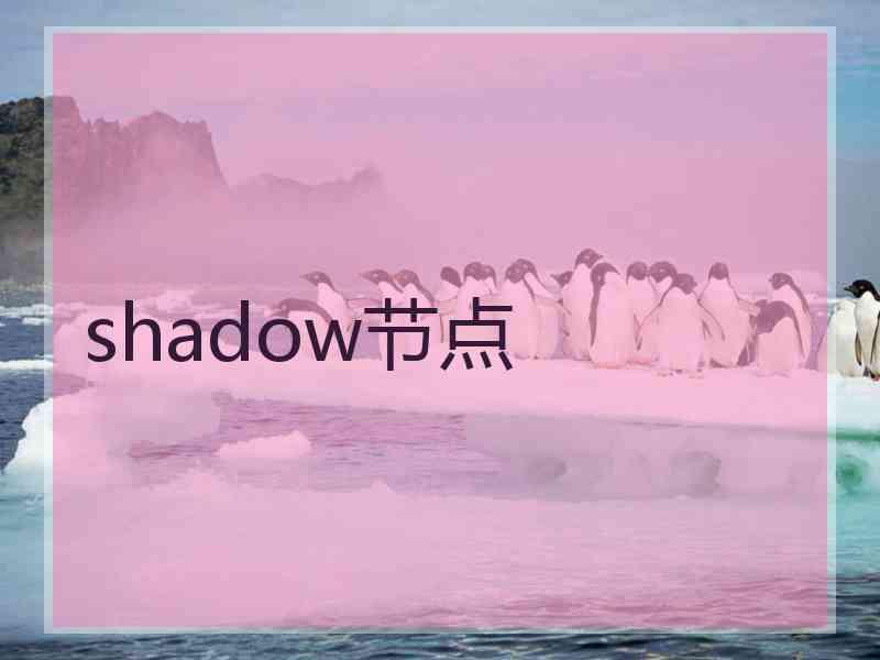 shadow节点