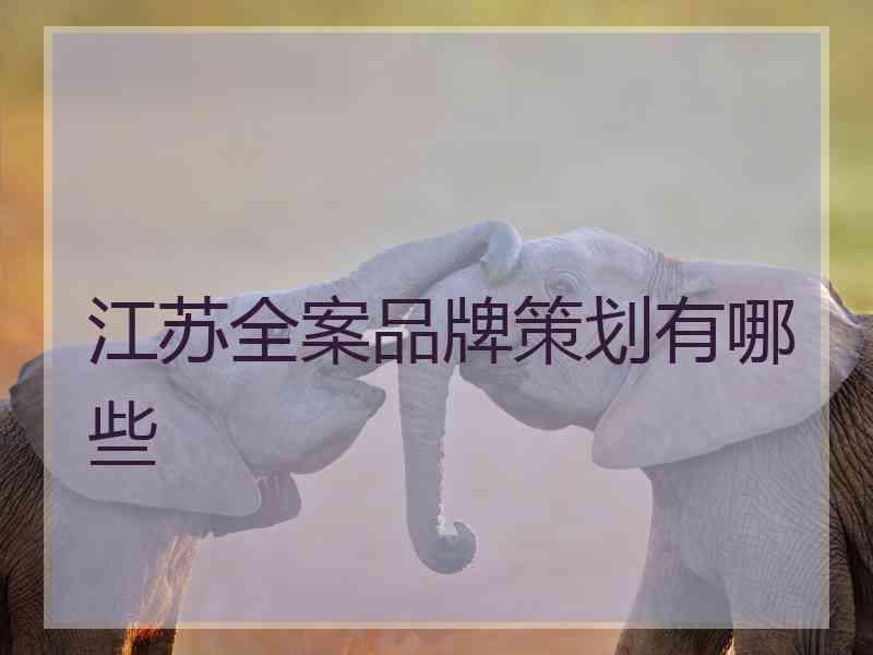 江苏全案品牌策划有哪些