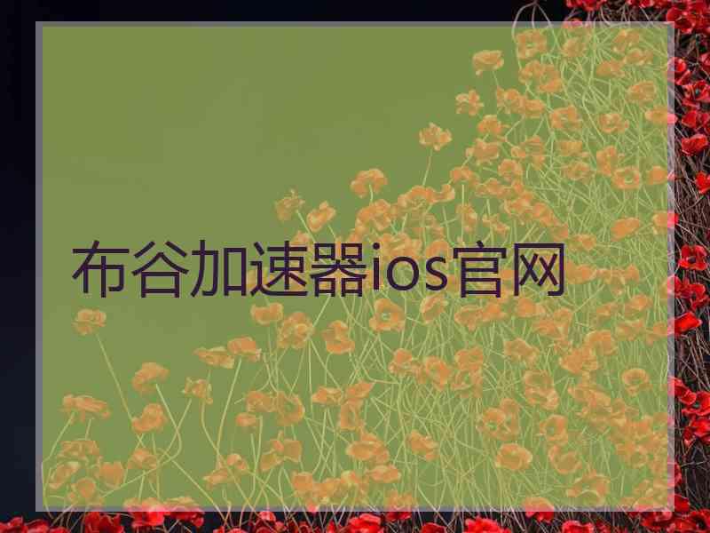 布谷加速器ios官网