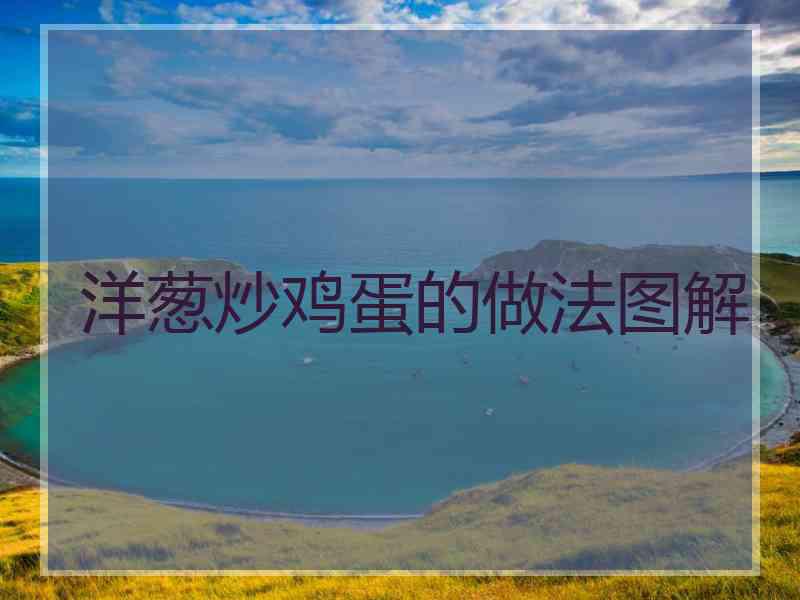 洋葱炒鸡蛋的做法图解