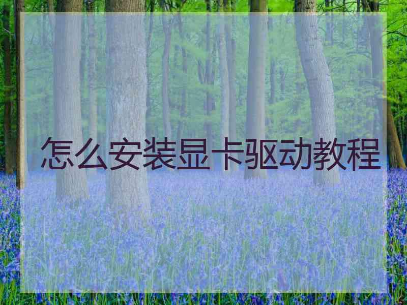 怎么安装显卡驱动教程