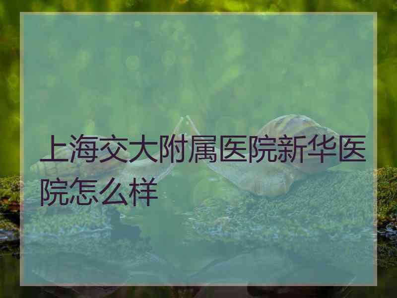 上海交大附属医院新华医院怎么样