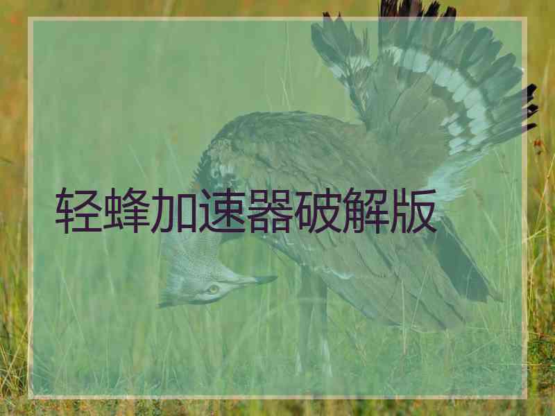 轻蜂加速器破解版