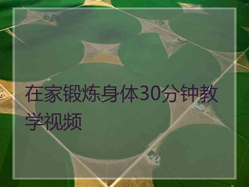 在家锻炼身体30分钟教学视频