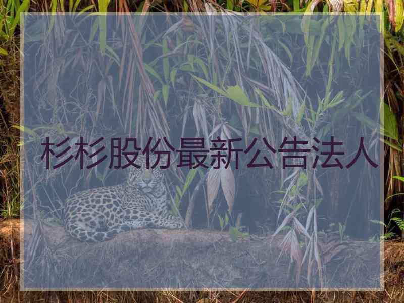 杉杉股份最新公告法人