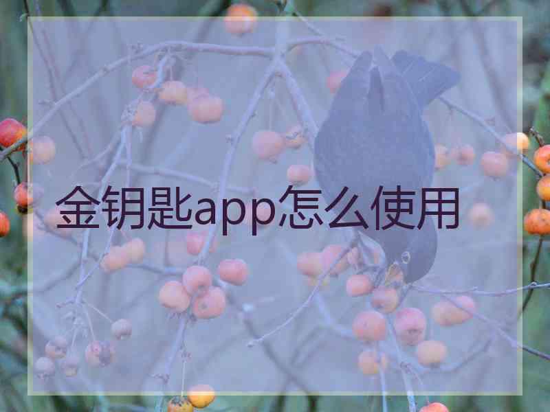 金钥匙app怎么使用