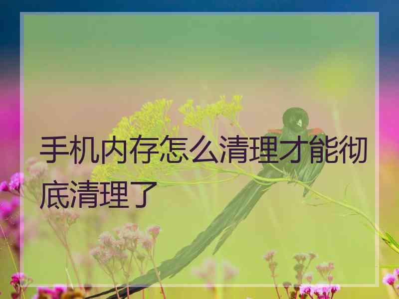 手机内存怎么清理才能彻底清理了
