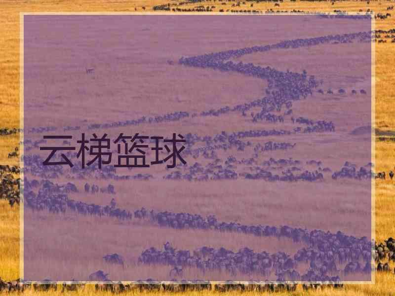 云梯篮球