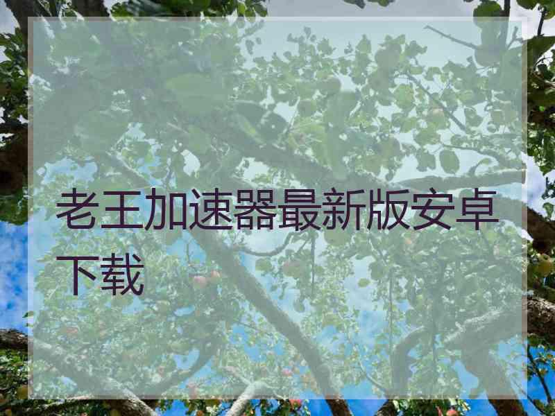 老王加速器最新版安卓下载