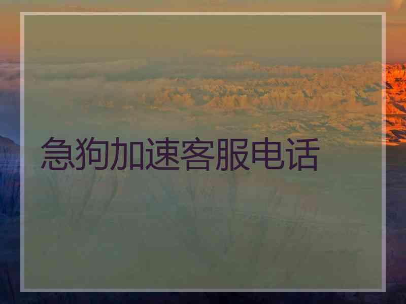 急狗加速客服电话