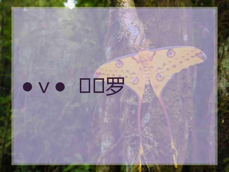 ●ｖ●  ≖✿罗
