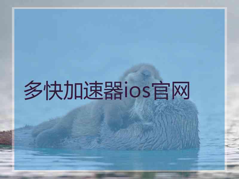 多快加速器ios官网