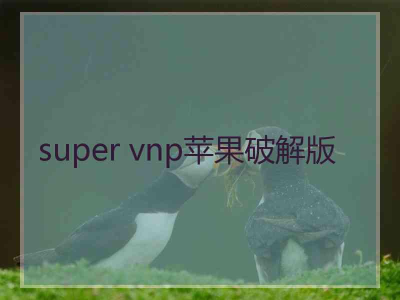 super vnp苹果破解版