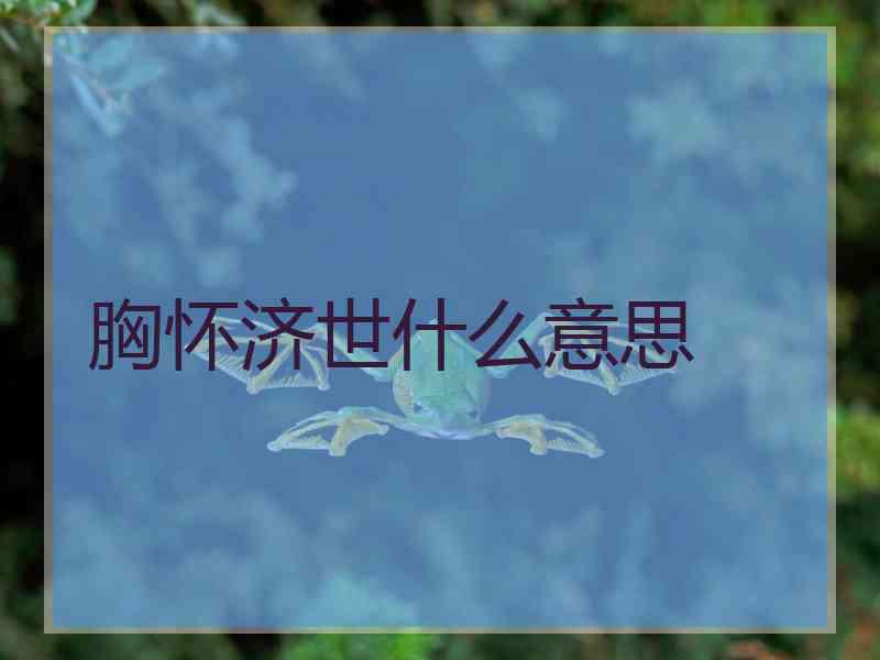 胸怀济世什么意思