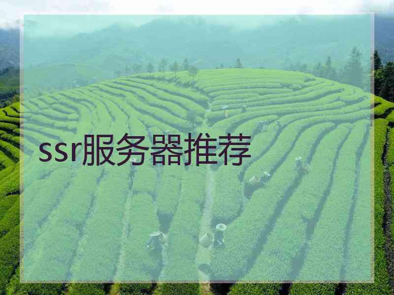 ssr服务器推荐