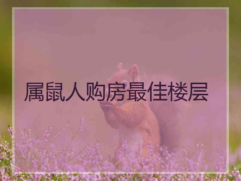 属鼠人购房最佳楼层