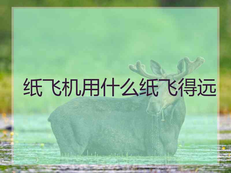 纸飞机用什么纸飞得远