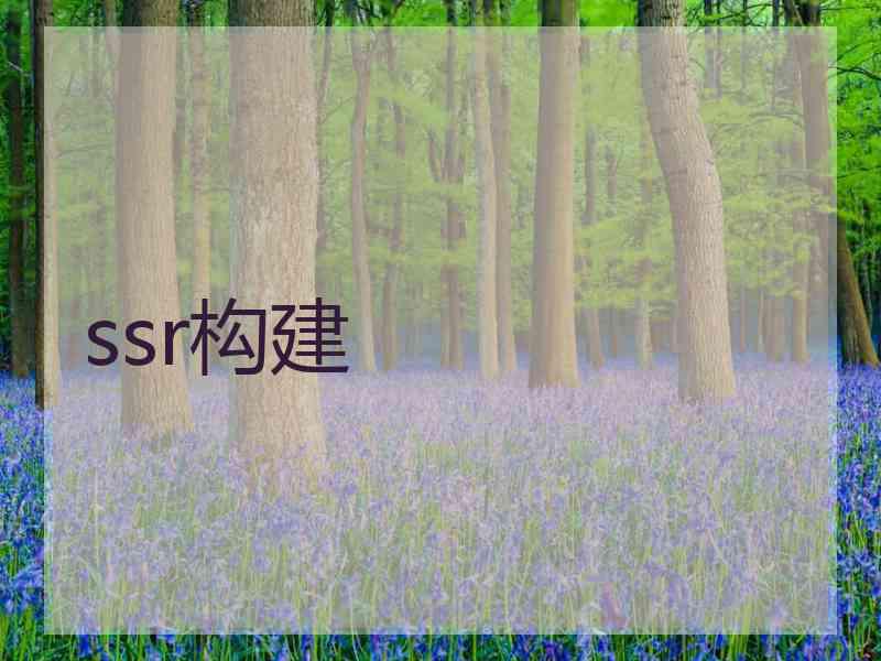 ssr构建