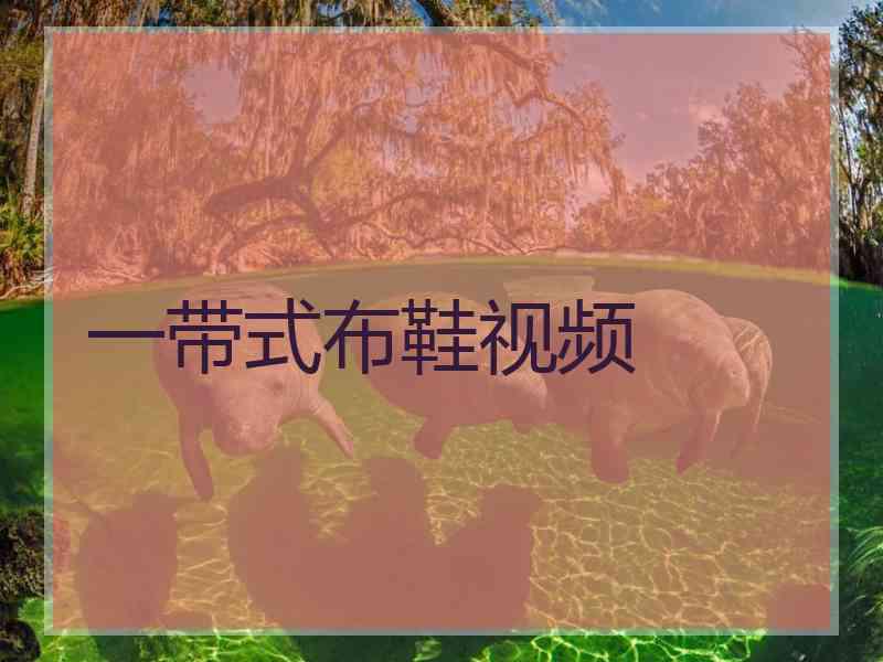 一带式布鞋视频