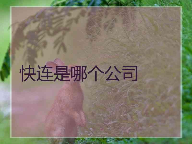 快连是哪个公司