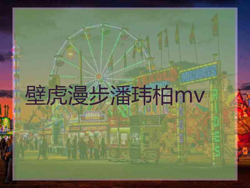 壁虎漫步潘玮柏mv