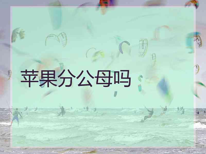 苹果分公母吗