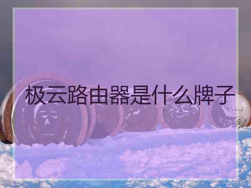 极云路由器是什么牌子