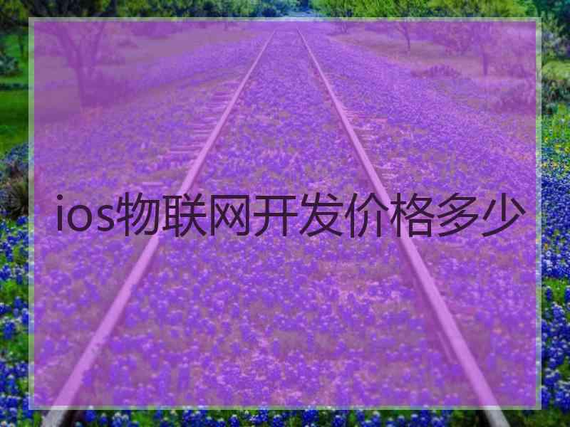 ios物联网开发价格多少