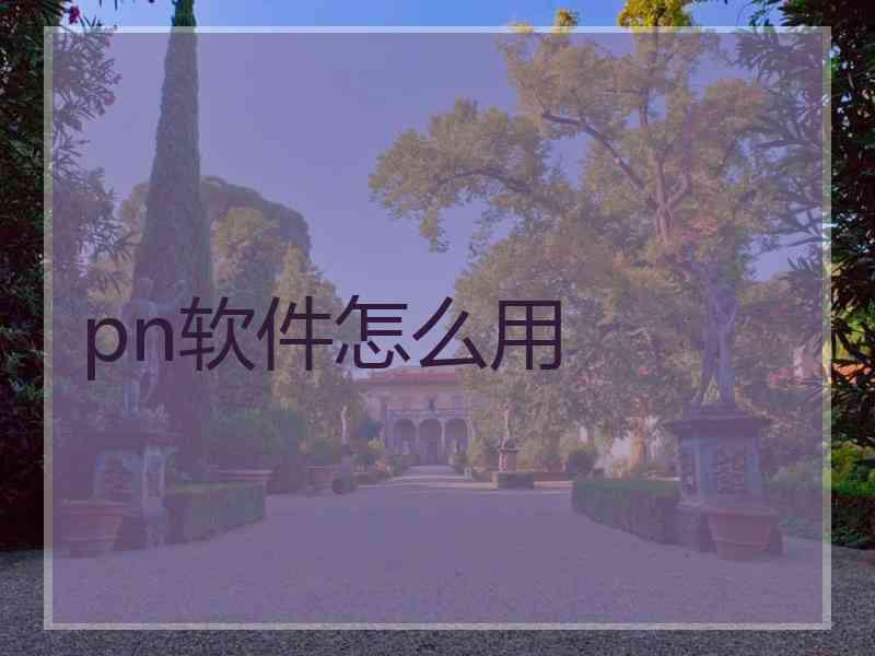 pn软件怎么用