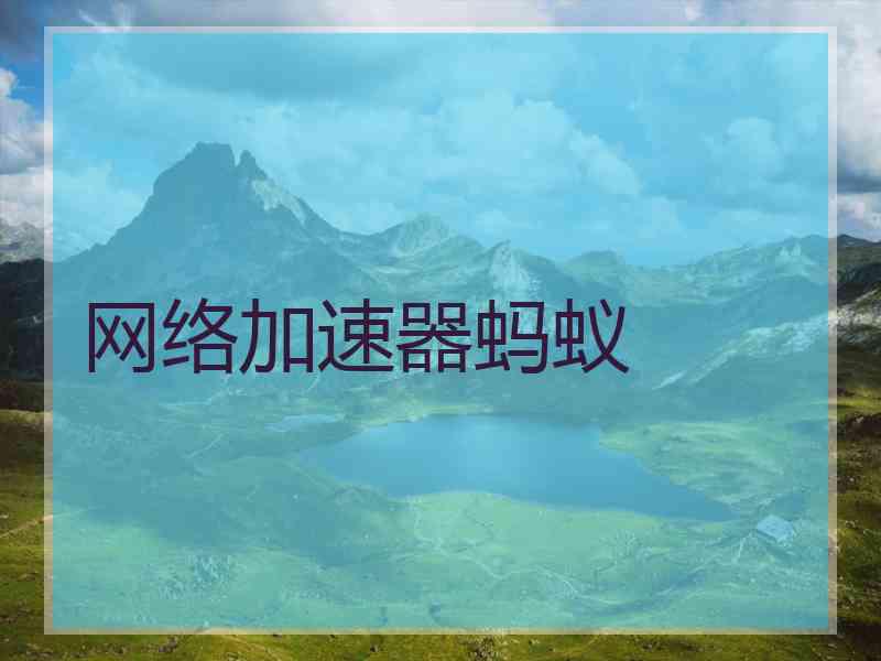 网络加速器蚂蚁