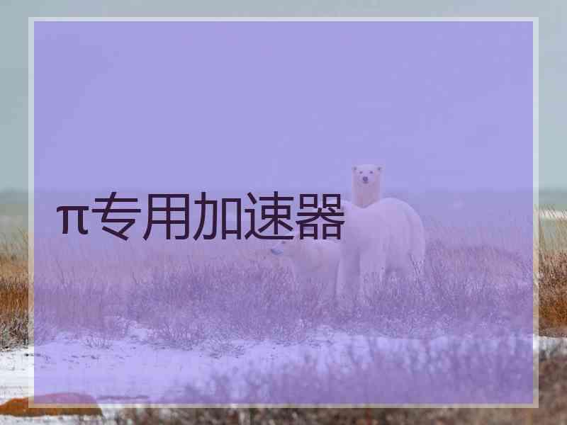 π专用加速器