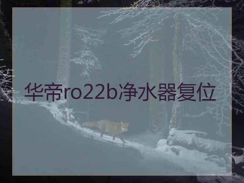 华帝ro22b净水器复位