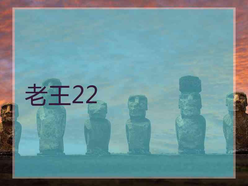 老王22
