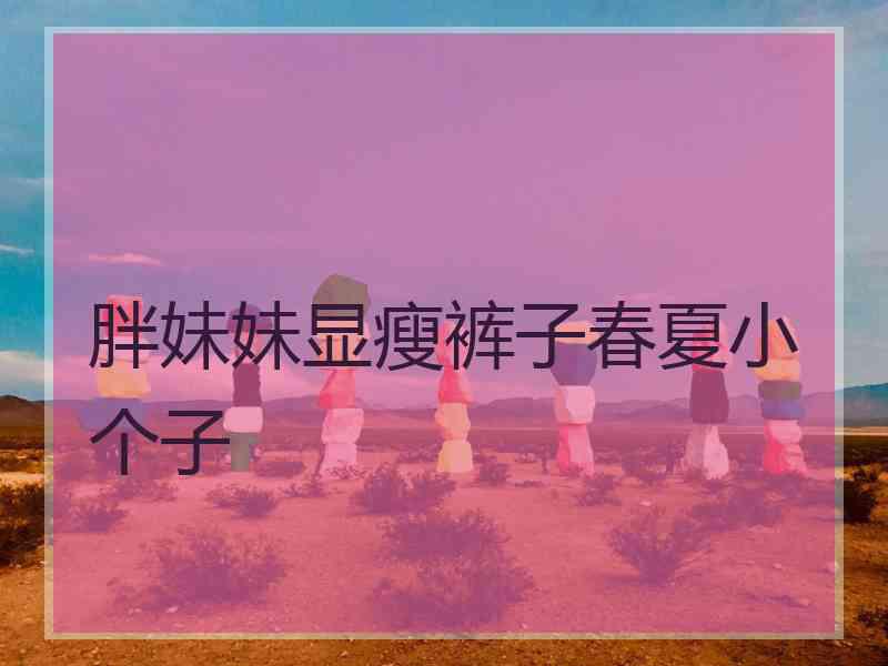 胖妹妹显瘦裤子春夏小个子
