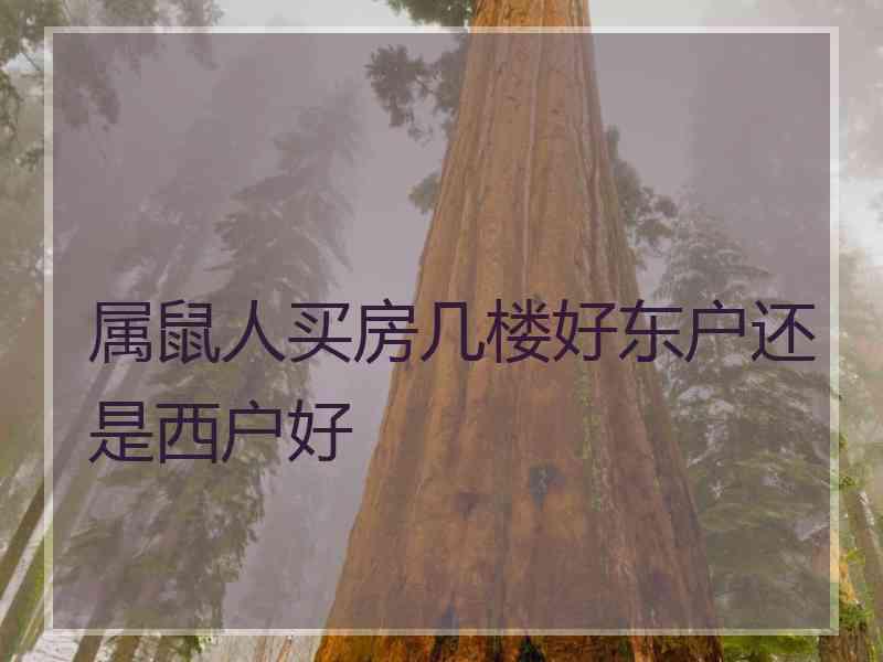 属鼠人买房几楼好东户还是西户好