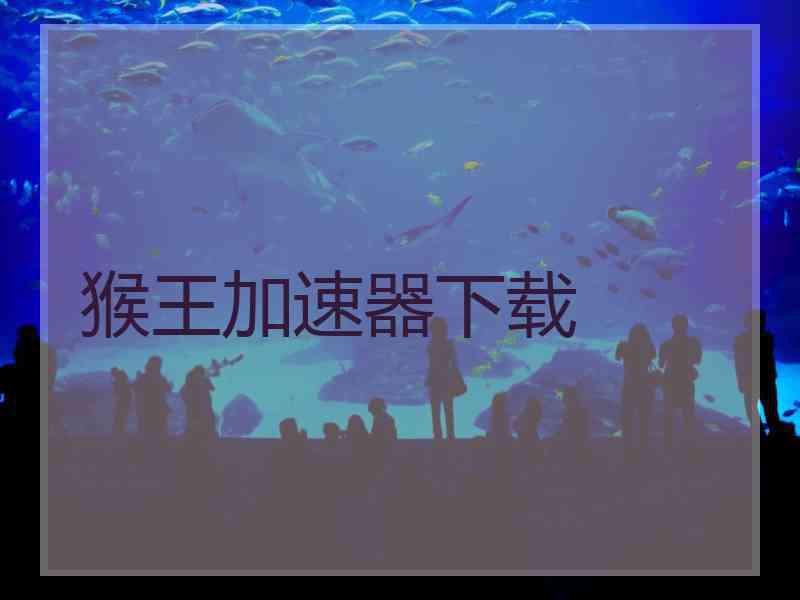 猴王加速器下载