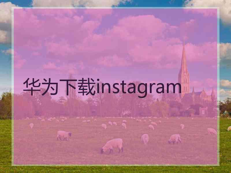 华为下载instagram
