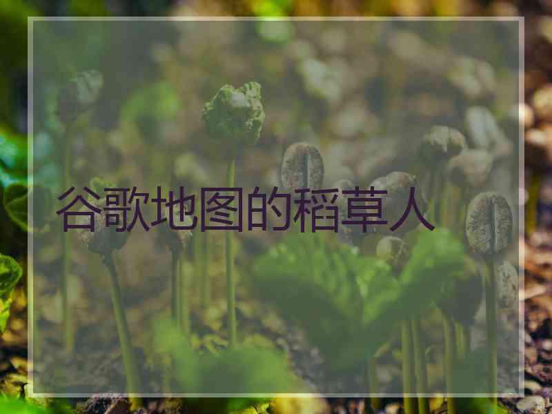 谷歌地图的稻草人