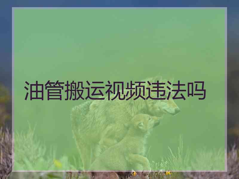 油管搬运视频违法吗