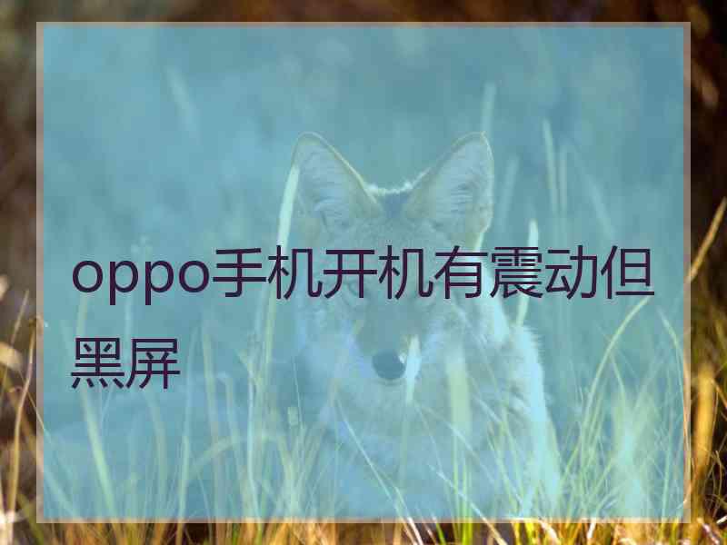 oppo手机开机有震动但黑屏
