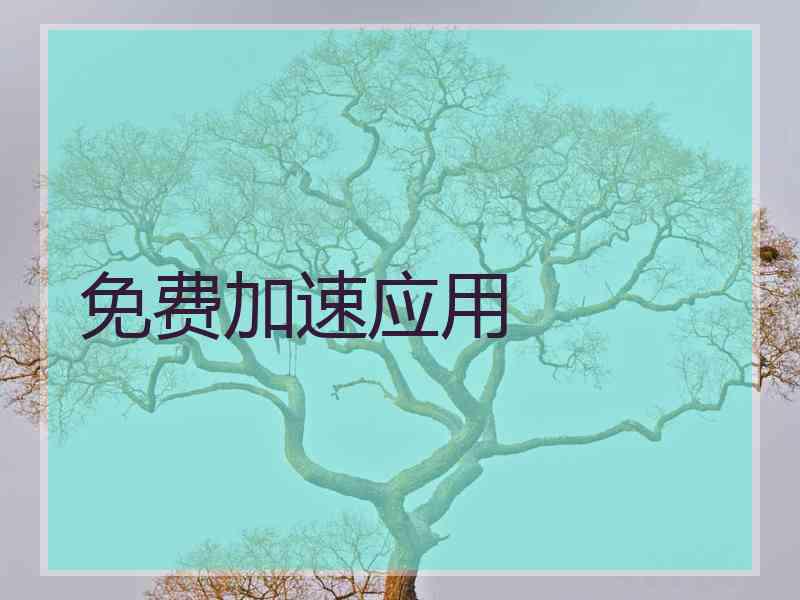 免费加速应用