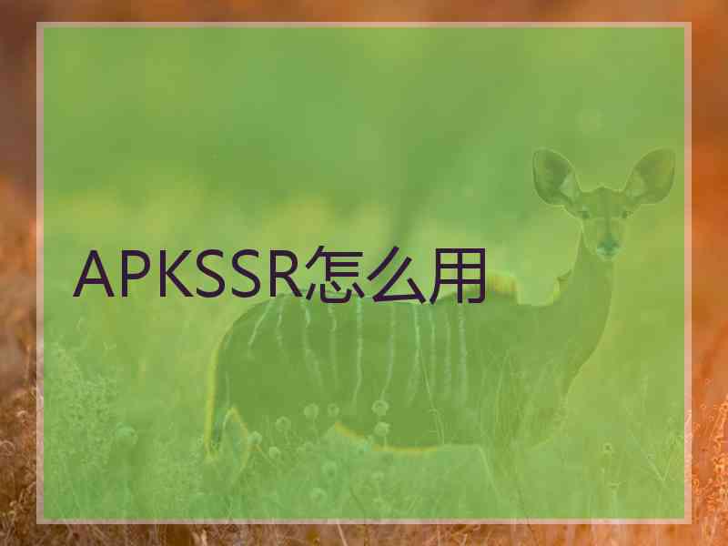 APKSSR怎么用