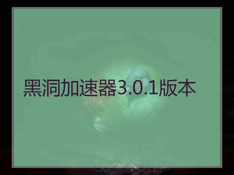 黑洞加速器3.0.1版本