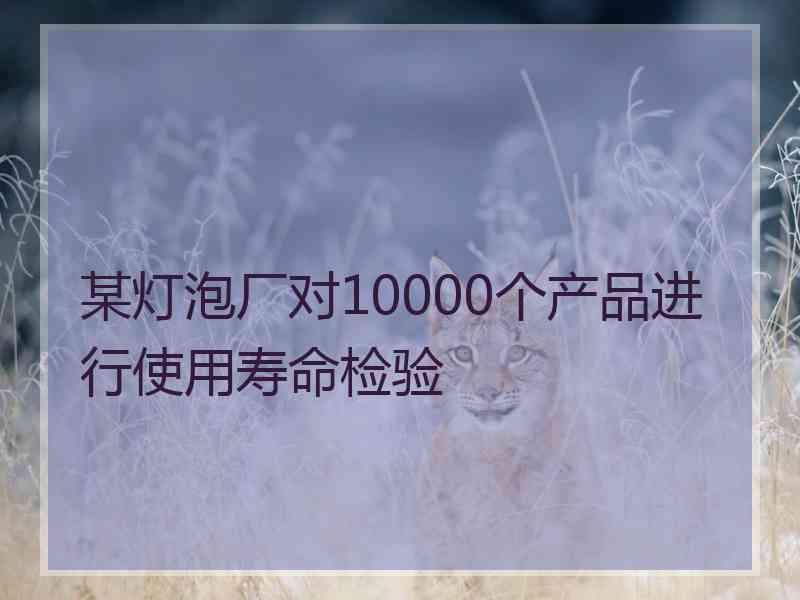 某灯泡厂对10000个产品进行使用寿命检验